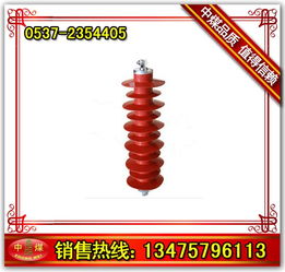 供應氧化鋅避雷器 避雷器 山東中煤工礦公司中貿(mào)公司 工程機械配件,斷路器,電纜輸送設備,交通設備,測試儀傳感器